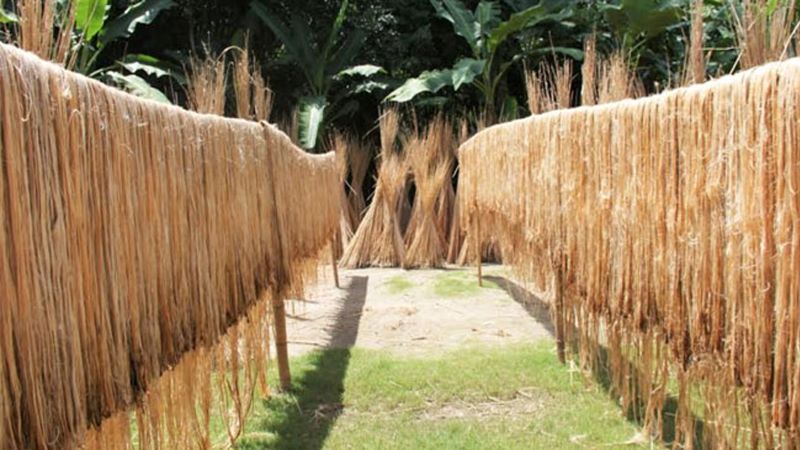 চামড়া-প্লাস্টিকের রফতানি আয় বাড়লেও মুখ থুবড়ে পড়েছে পাট